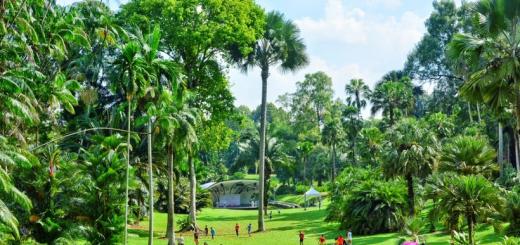 Бесплатный Сингапур: Ботанические Сады